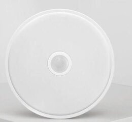 Подвесной светильник XIAOMI Luminous flux 670 Lumen YLXD09YL цена и информация | Потолочные светильники | kaup24.ee