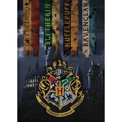 Harry Potteri fliistekk, 100x140 cm hind ja info | Voodikatted, pleedid | kaup24.ee