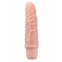 DR. SKIN SILICONE DR. ROBERT 7 INCH VIBRATING DILDO BEIGE цена и информация | Фаллоимитаторы | kaup24.ee