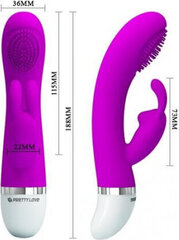 Vibraator Lybaile Pretty Love Christ vibrator, lilla hind ja info | Vibraatorid | kaup24.ee