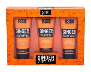 Набор Xpel Ginger: шампунь 100 мл + кондиционер 100 мл + гель для душа 100 мл цена и информация | Шампуни | kaup24.ee