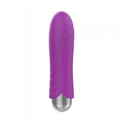 Boss Of Toys Exclusive Bullet USB 10 functions Purple цена и информация | Вибраторы | kaup24.ee