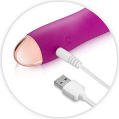 My First Bird Pink Rechargeable Vibrator цена и информация | Вибраторы | kaup24.ee