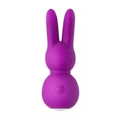 Мини вибратор FemmeFunn Stubby2, фиолетовый цена и информация | Вибраторы | kaup24.ee