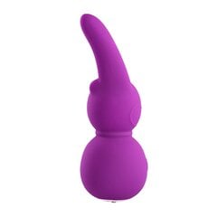 Mini Vibraator FemmeFunn Stubby2, lilla hind ja info | Vibraatorid | kaup24.ee