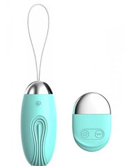 Vibraator Argus Remote Vibrating Egg Mint Green, roheline hind ja info | Vibraatorid | kaup24.ee