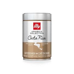 Illy Arabica Selection Costa Rica kohvioad, 250g hind ja info | Kohv, kakao | kaup24.ee