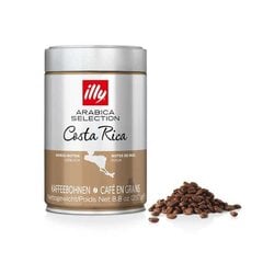 Illy Arabica Selection Costa Rica kohvioad, 250g hind ja info | Kohv, kakao | kaup24.ee