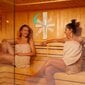 Sylanda sauna tunnikell 15-minutiline taimeri цена и информация | Sauna aksessuaarid | kaup24.ee