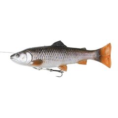 Lant SG 4D Line Thru Pulse Tail Trout 16cm/51g/0.5-1.2m Chub hind ja info | Landid, voblerid | kaup24.ee