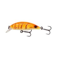 Lant SG 3D Shrimp Twitch SR 5.2cm/5.5g/0-1m Orange Shrimp hind ja info | Landid, voblerid | kaup24.ee