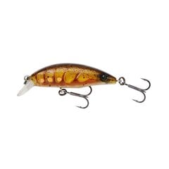 Lant SG 3D Shrimp Twitch SR 5.2cm/5.5g/0-1m Golden Ghost hind ja info | Landid, voblerid | kaup24.ee