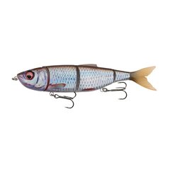 Lant SG 4Play V2 Swim & Jerk 13.5cm/20g/1-2m Roach hind ja info | Landid, voblerid | kaup24.ee