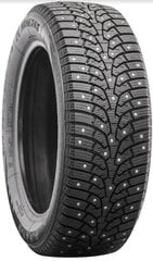 245/45R19 Nankang SW-9 naastrehv 102Q XL hind ja info | Lisaseadmed | kaup24.ee