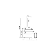 Halo Led H8 H9 H11 15 Вт PGJ19-X 1 шт. цена и информация | Автомобильные лампочки | kaup24.ee