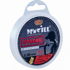 Леска WFT Penzill Fluorocarbon Strong 100м 7,3кг 0,30мм цена и информация | Садовые инструменты | kaup24.ee