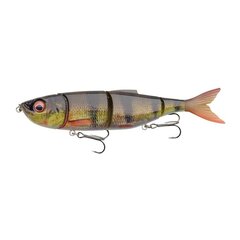 Lant SG 4Play V2 Swim & Jerk 16.5cm/35g/1-2m Perch hind ja info | Landid, voblerid | kaup24.ee