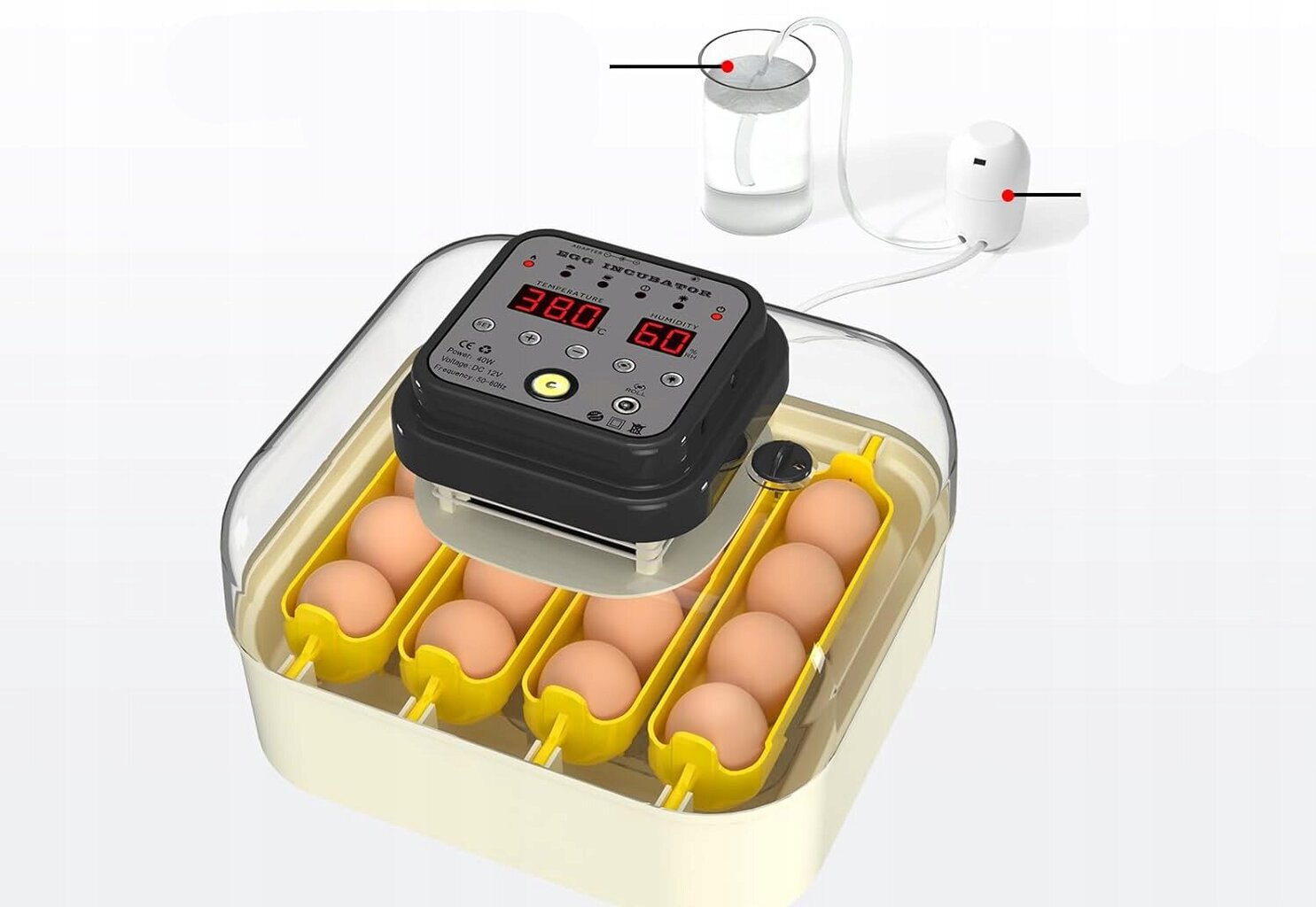 Hethya munade inkubaator, temperatuuri ja õhuniiskuse kontroll, 16 munale. hind ja info | Köögitarbed | kaup24.ee