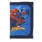 Spiderman rahakott lastele hind ja info | Laste aksessuaarid | kaup24.ee