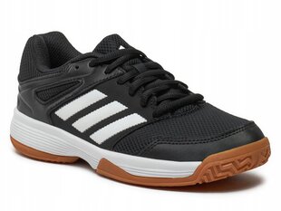 ADIDAS SPEEDCOURT spordijalatsid IE8035 sisetingimustes 38 hind ja info | Naiste spordi- ja vabaajajalatsid | kaup24.ee