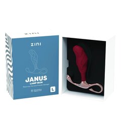 "Zini" - JANUS šviestuvas "Iron" (L) Bordo цена и информация | Анальные игрушки | kaup24.ee