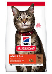 Hill's Science Plan Adult maistas kassitoit lambaliha ja riisiga, 3kg цена и информация | Сухой корм для кошек | kaup24.ee