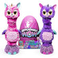 Interaktiivne muna koos loomaga Hatchimals Hatchi WOW hind ja info | Tüdrukute mänguasjad | kaup24.ee