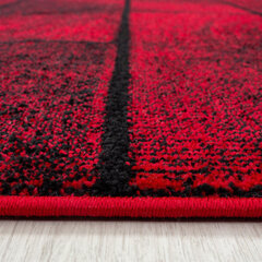 Vaip Ayyildiz Beta Red 1110, 80x150 cm hind ja info | Vaibad | kaup24.ee