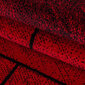 Vaip Ayyildiz Beta Red 1110, 80x150 cm hind ja info | Vaibad | kaup24.ee