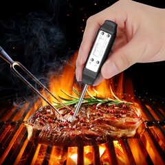 Kaasaskantav digitaalse pliiatsi tüüpi termomeeter koos pika sondiga köögis küpsetamiseks BBQ liha praetoit Piimmust hind ja info | Ilmajaamad, termomeetrid | kaup24.ee