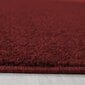 Vaip Ayyildiz Ata Red 7000, 60x100 cm hind ja info | Vaibad | kaup24.ee