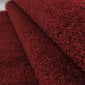 Vaip Ayyildiz Ata Red 7000, 60x100 cm hind ja info | Vaibad | kaup24.ee