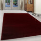 Vaip Ayyildiz Ata Red 7000, 120x170 cm hind ja info | Vaibad | kaup24.ee