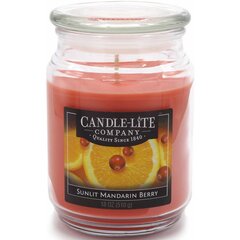 Candle-lite ароматическая свеча Everyday Sunlit Mandarin Berry цена и информация | Подсвечники, свечи | kaup24.ee