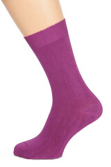 Мужские носки Tauno лилового цвета Hollyhock цена и информация | Meeste sokid | kaup24.ee