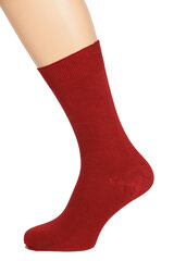 Мужские носки Tauno темно-красного цвета Bordoo цена и информация | Мужские носки | kaup24.ee