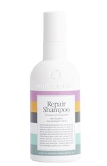 Šampoon kahjustatud juustele makadaamiaseemneõliga Waterclouds Repair shampoo, 250 ml hind ja info | Šampoonid | kaup24.ee