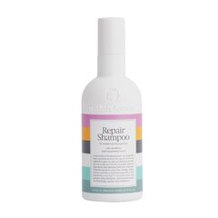 Šampoon kahjustatud juustele makadaamiaseemneõliga Waterclouds Repair shampoo, 250 ml hind ja info | Šampoonid | kaup24.ee