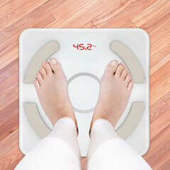 BT Body Fat Scale USB цифровые весы для ванной комнаты с приложением для смартфона BMI Scale (белые) цена и информация | Кухонные весы | kaup24.ee