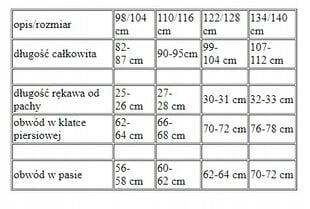 HALLOWEEN KOSTÜÜM 3 TK 98/104 hind ja info | Karnevali kostüümid | kaup24.ee