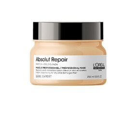 Восстанавливающая маска для волос L'Oreal Professionnel Absolut Repair Gold 250 мл цена и информация | Маски, масла, сыворотки | kaup24.ee