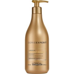 Taastav šampoon L'Oreal Professionnel Absolut Repair Gold 500 ml hind ja info | Šampoonid | kaup24.ee