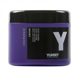 Kaaviari juuksemask Yunsey Professional Vigorance Caviar Hair Mask 500 ml hind ja info | Maskid, õlid, seerumid | kaup24.ee