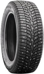 225/50R18 Nankang SW-9 naastrehv 99T XL hind ja info | Lisaseadmed | kaup24.ee