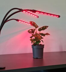 Lamp taimedele, Gardlov M-19242 20 led цена и информация | Проращиватели, лампы для растений | kaup24.ee