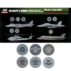 AK-Interactive – RCS116 – US Navy & USMC Modern Aircrafts and Helicopters, komplekt hind ja info | Kunstitarbed, voolimise tarvikud | kaup24.ee