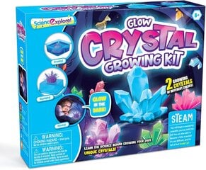 Набор для выращивания кристаллов Crystal цена и информация | Развивающие игрушки | kaup24.ee