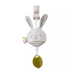 Подвесная музыкальная игрушка Taf Toys Bunny цена и информация | Игрушки для малышей | kaup24.ee