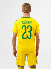 Футболка HUMMEL LITHUANIA 24/25 HOME JERSEY S/S 22647052415715454780761 цена и информация | Мужская спортивная одежда | kaup24.ee