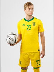 Футболка HUMMEL LITHUANIA 24/25 HOME JERSEY S/S 22647052415715454780761 цена и информация | Мужская спортивная одежда | kaup24.ee